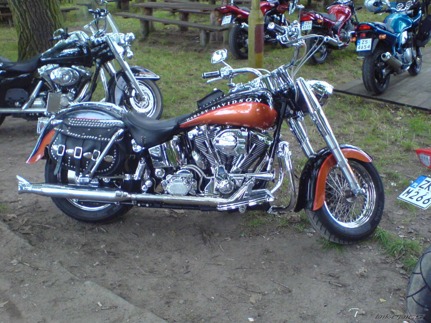 Photo 997295