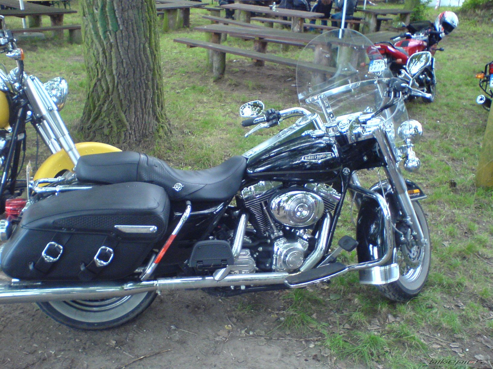 Photo 997296