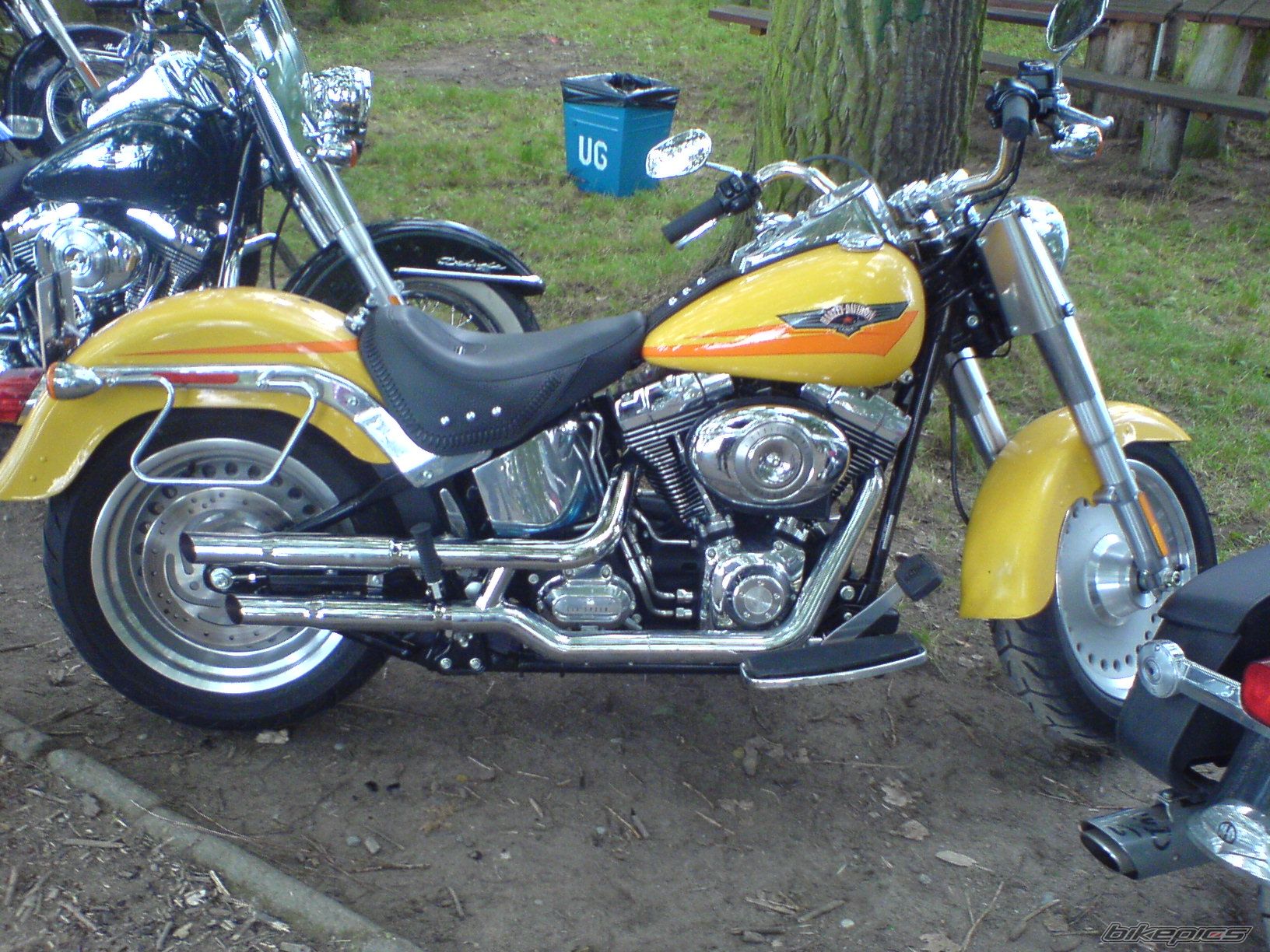Photo 997297
