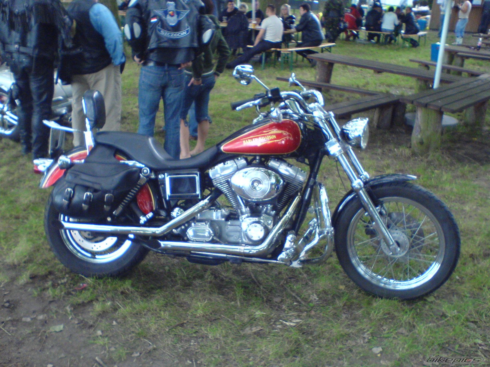 Photo 997299
