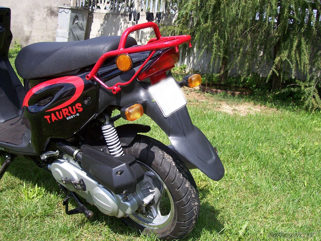 Photo 997332