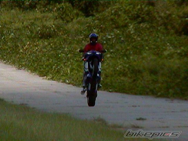 Photo 9974
