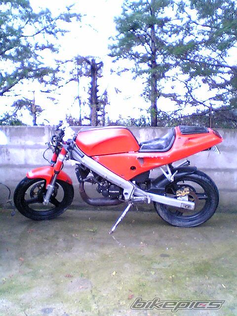 Photo 997812