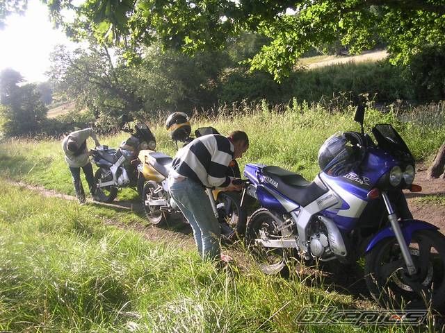 Photo 997849