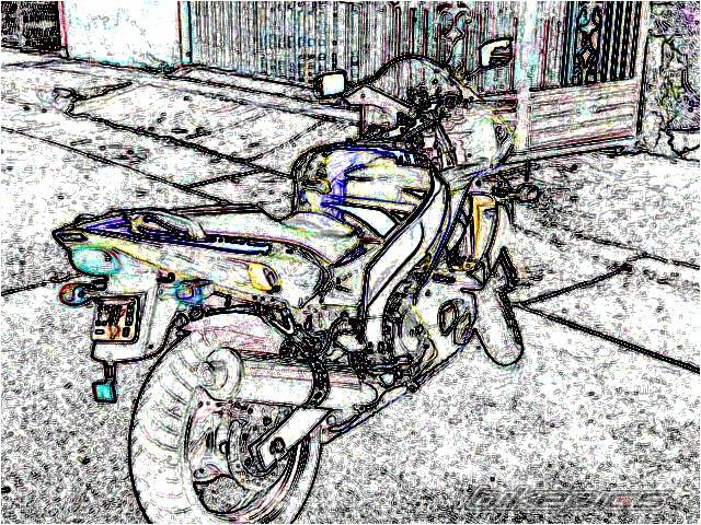 Photo 99787