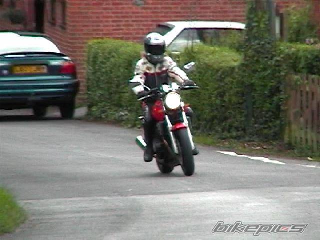 Photo 99799