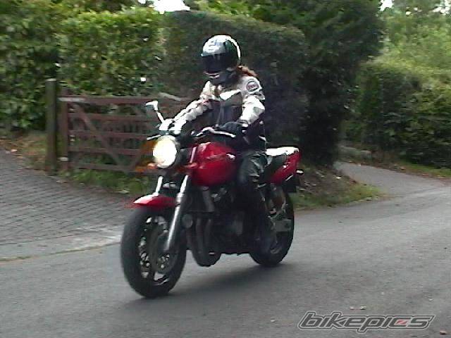 Photo 99800