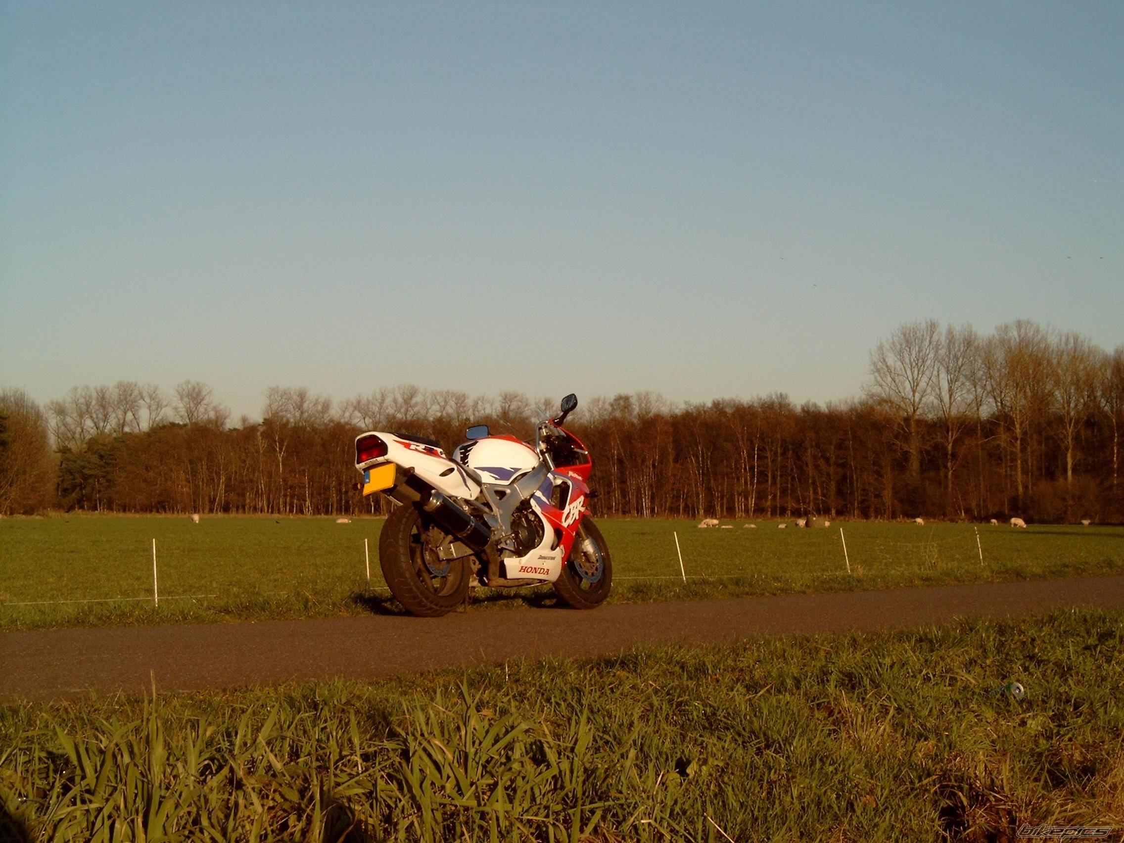 Photo 99805