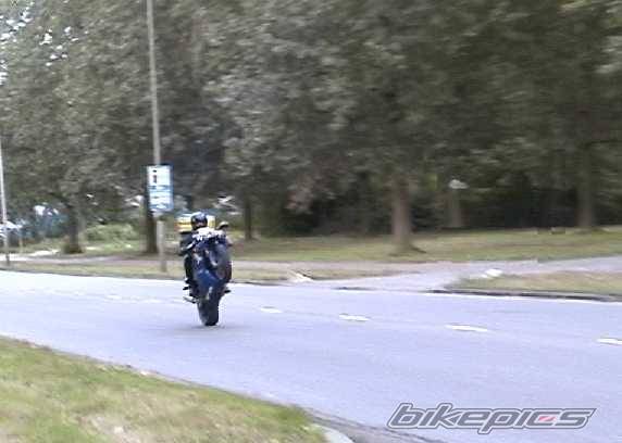 Photo 9981