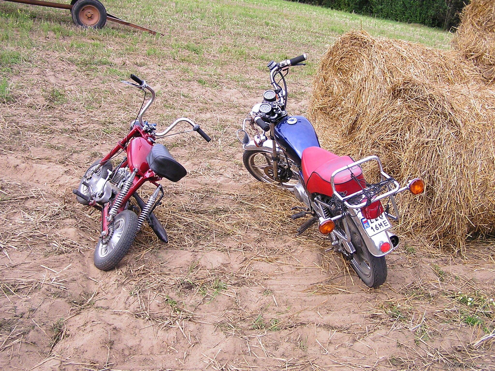 Photo 998132