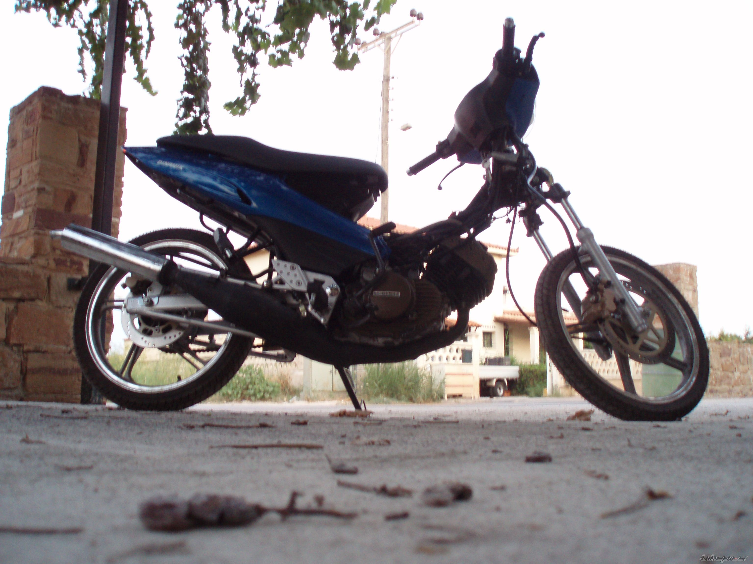 Photo 998163