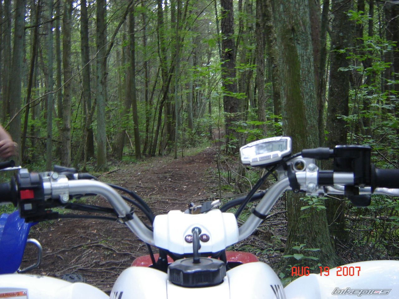 Photo 998236