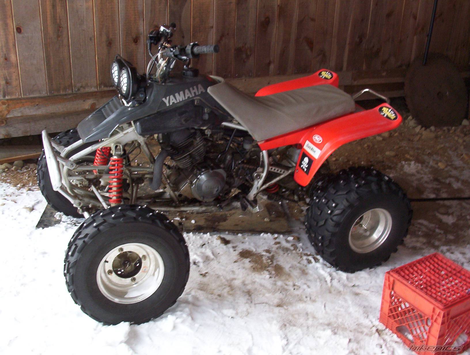 Photo 99825