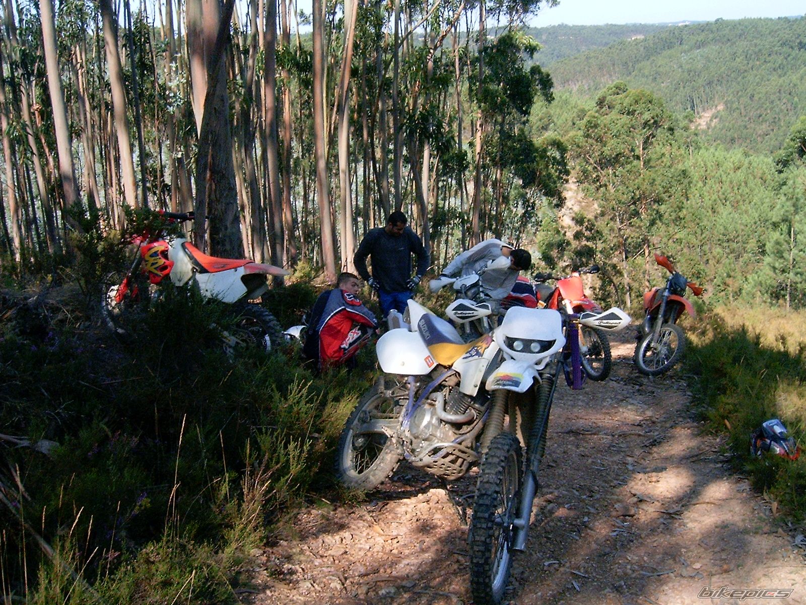 Bike Photo 998253