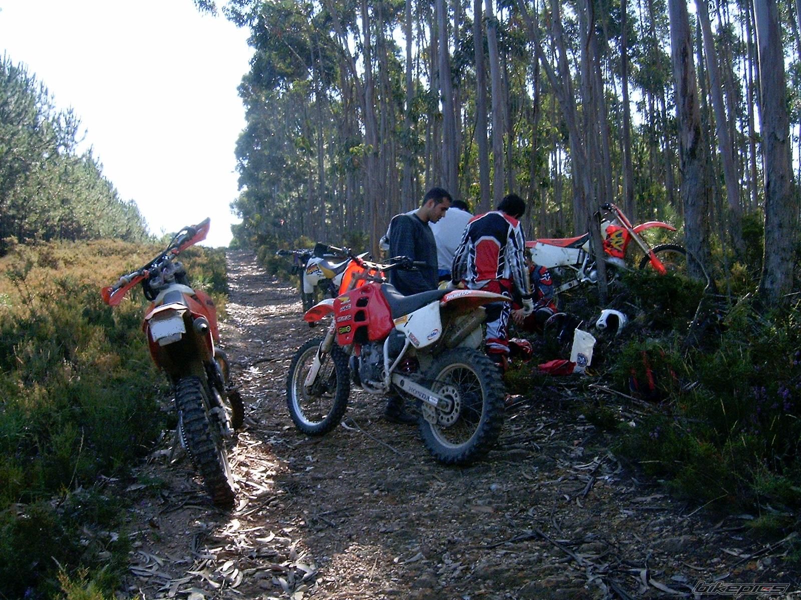 Bike Photo 998255