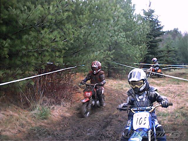 Photo 99848