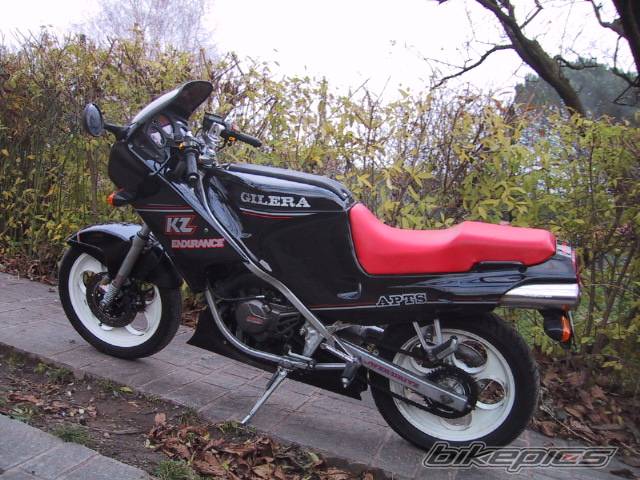 Photo 99851