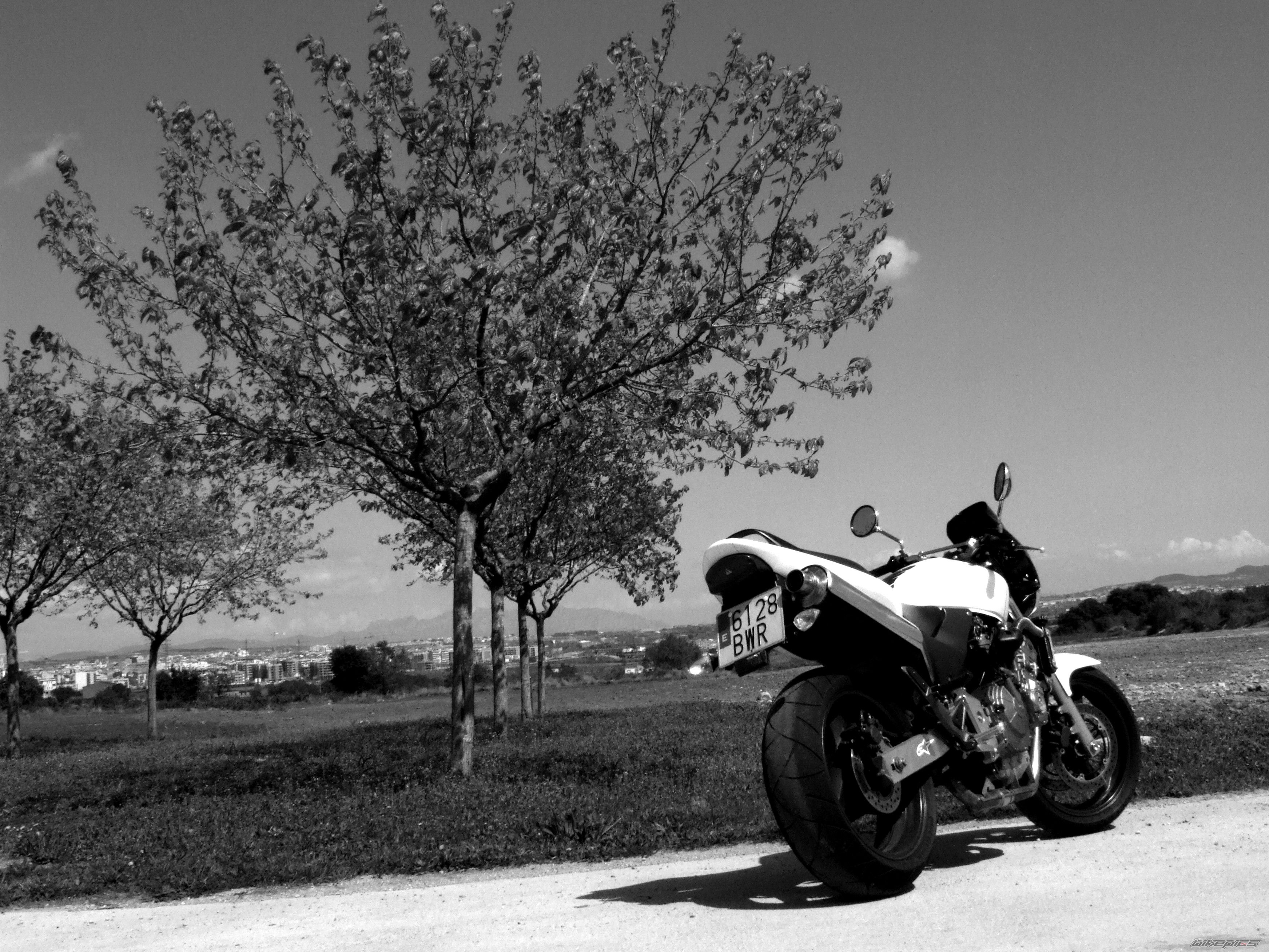 Photo 998582