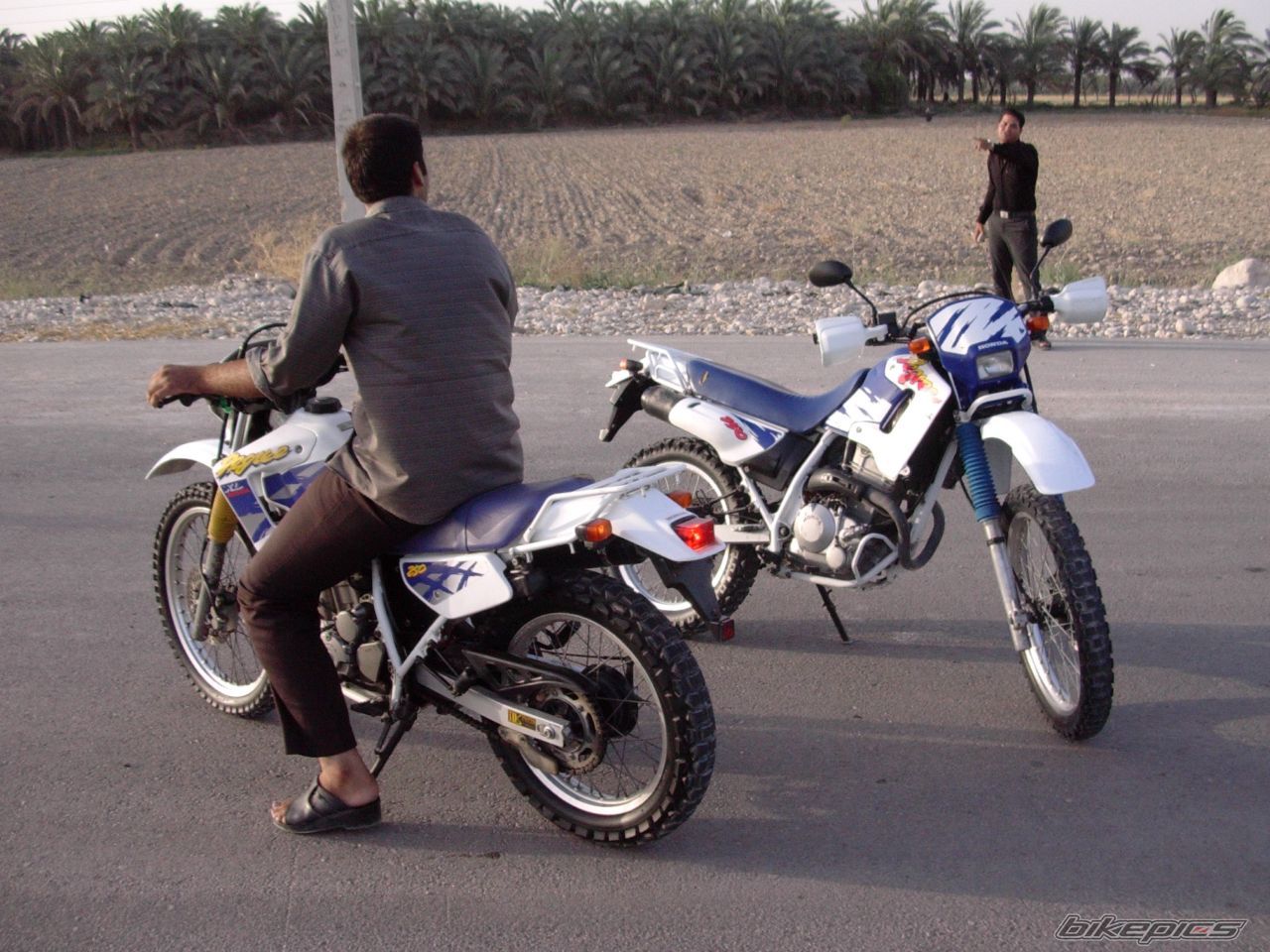 Photo 998634