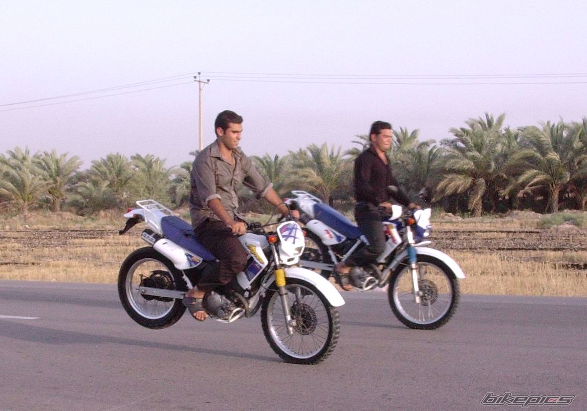 Photo 998639