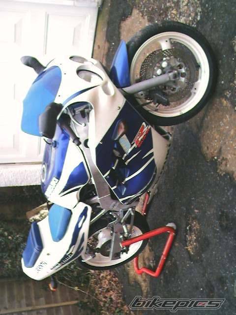 Photo 99864