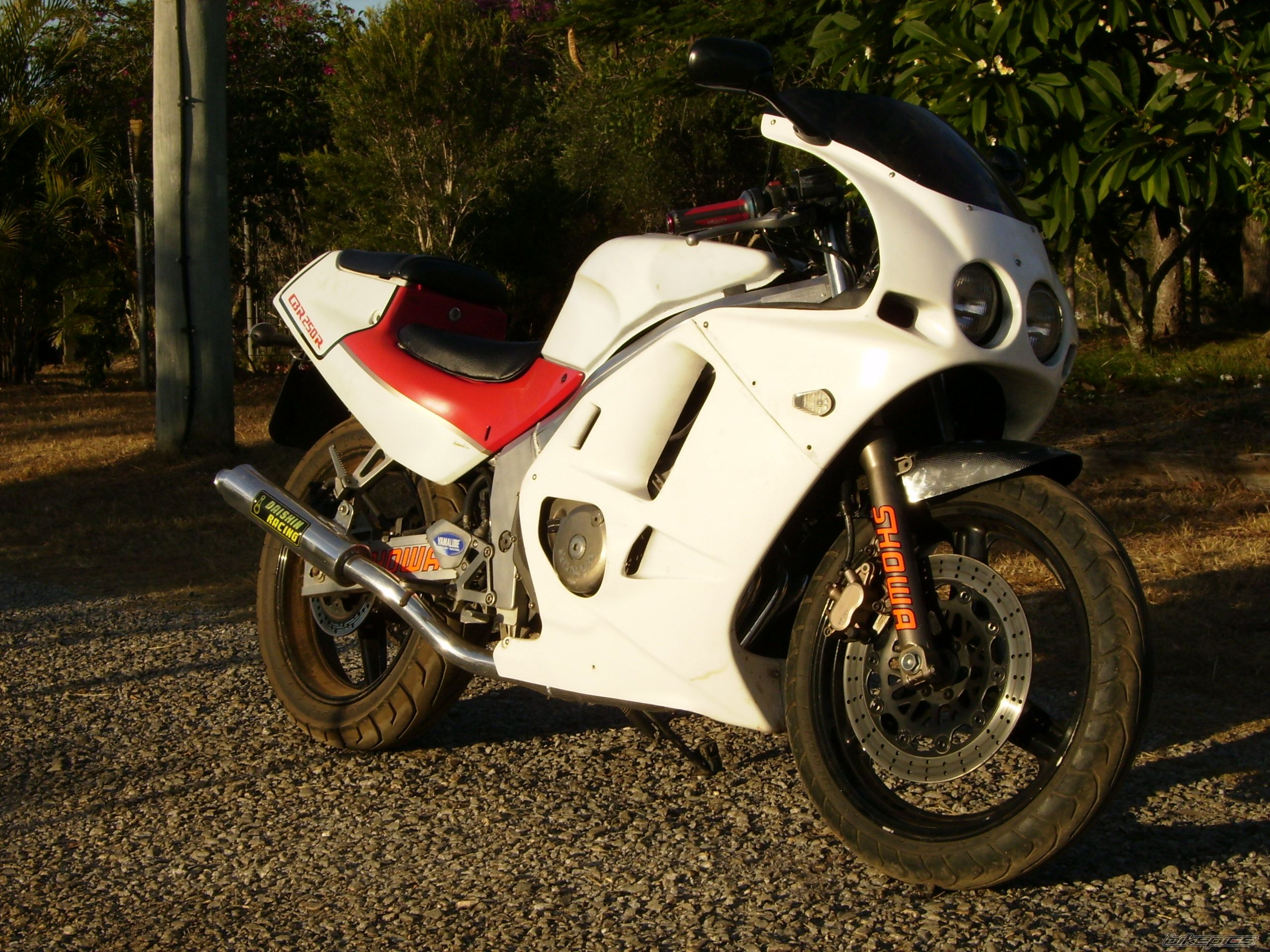 Photo 998696