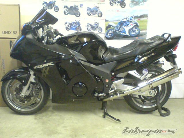 Photo 998736