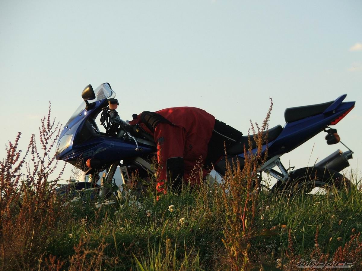 Photo 998907