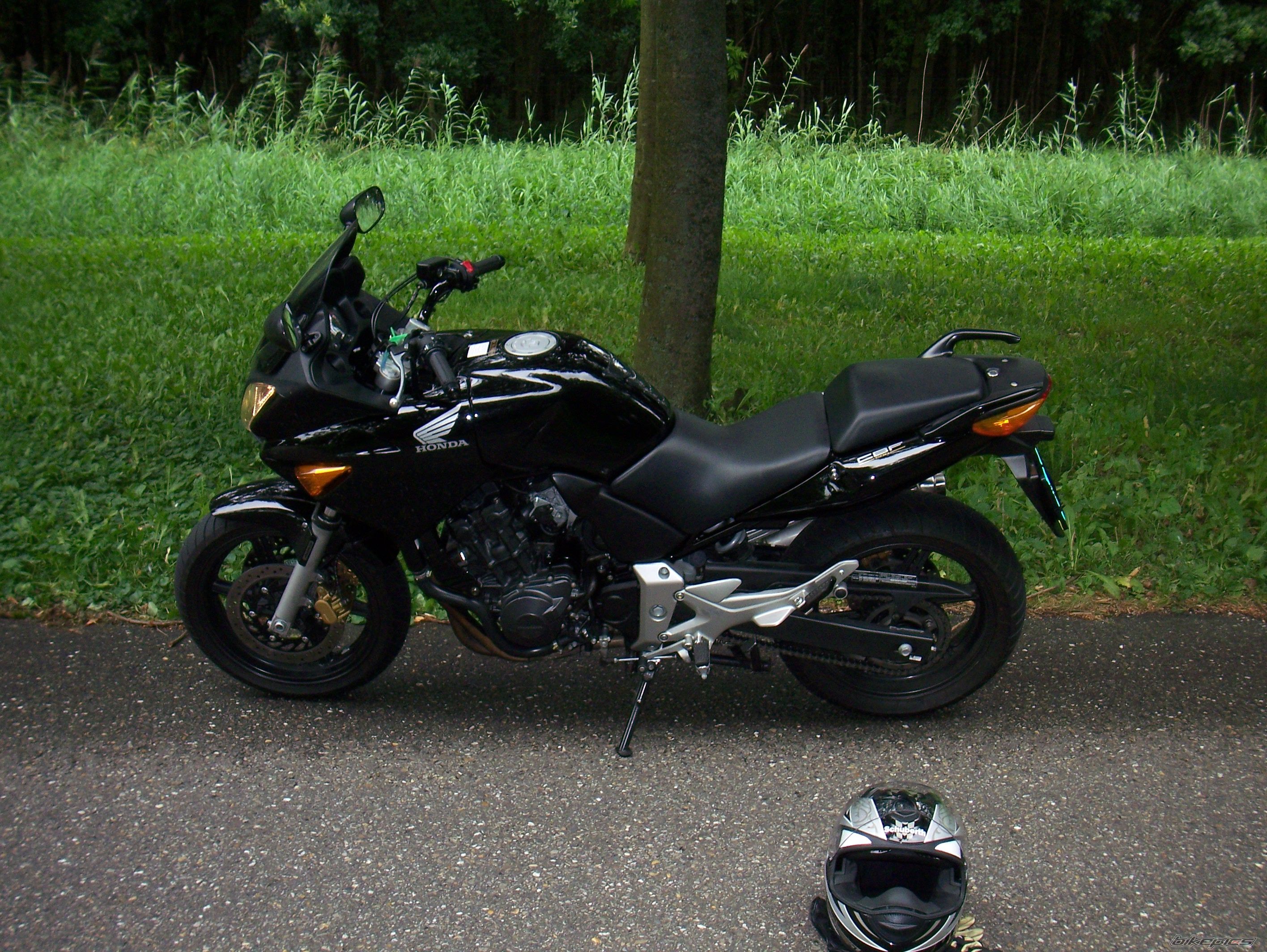 Photo 998967