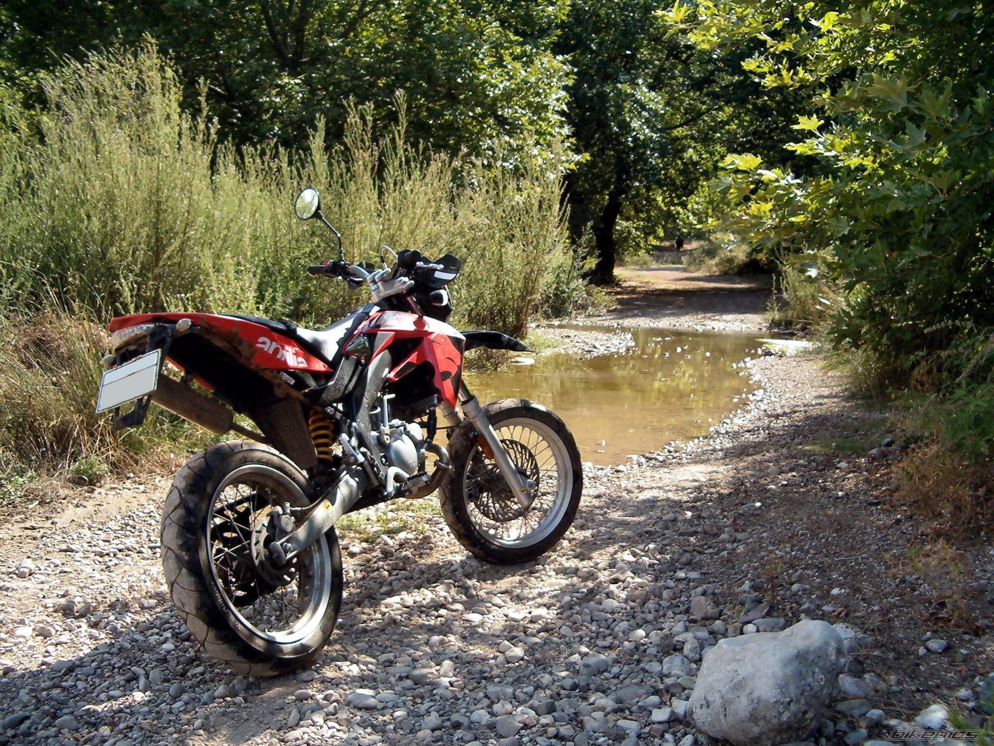 Photo 998987