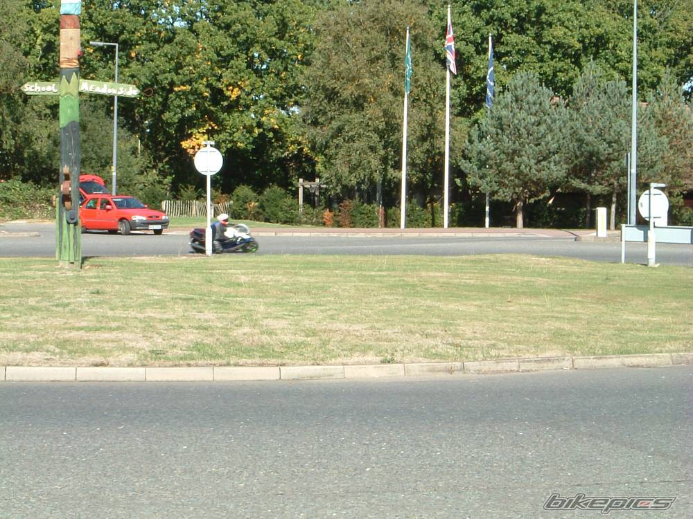 Photo 99904