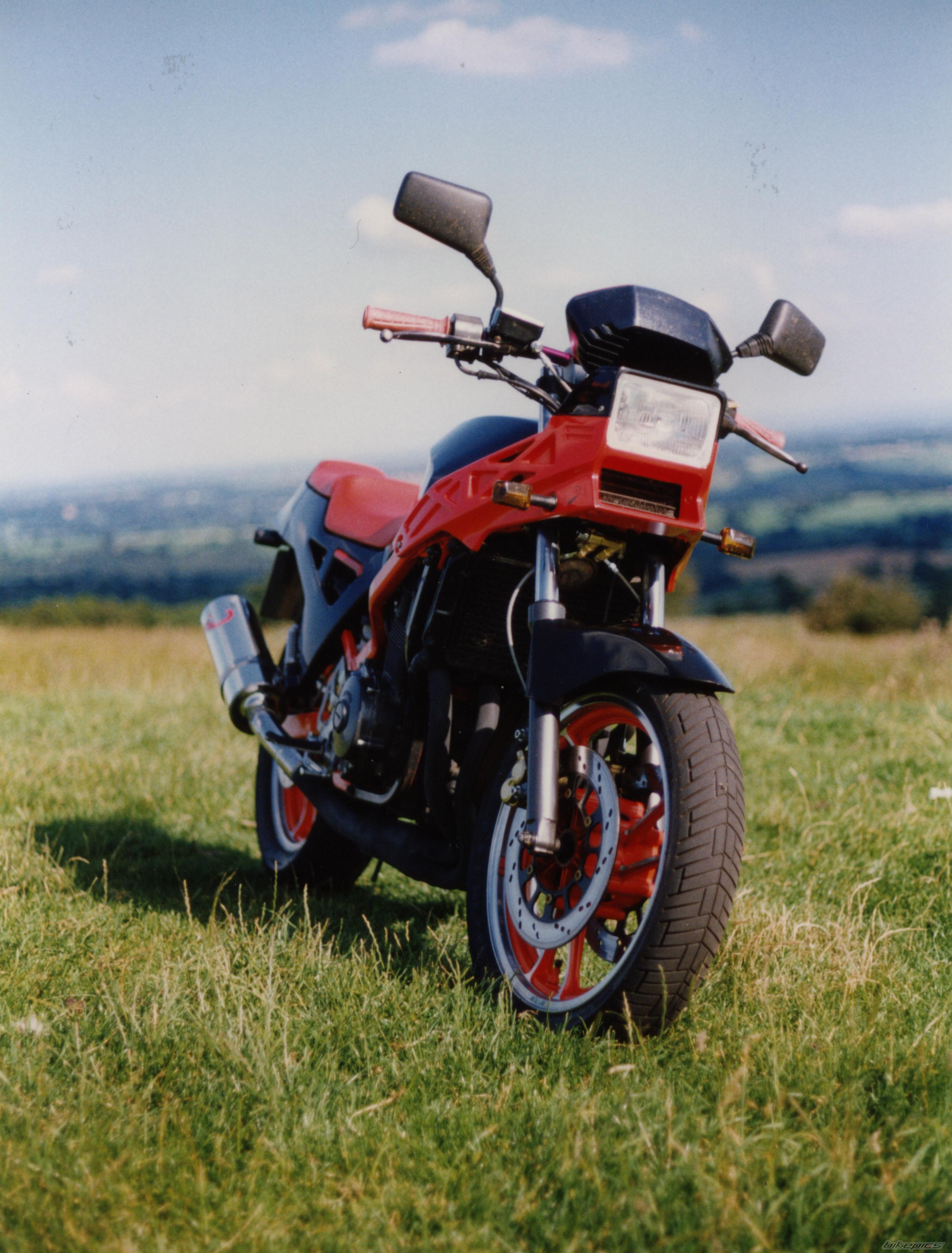 Photo 999175
