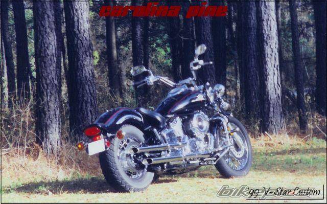 Photo 99933