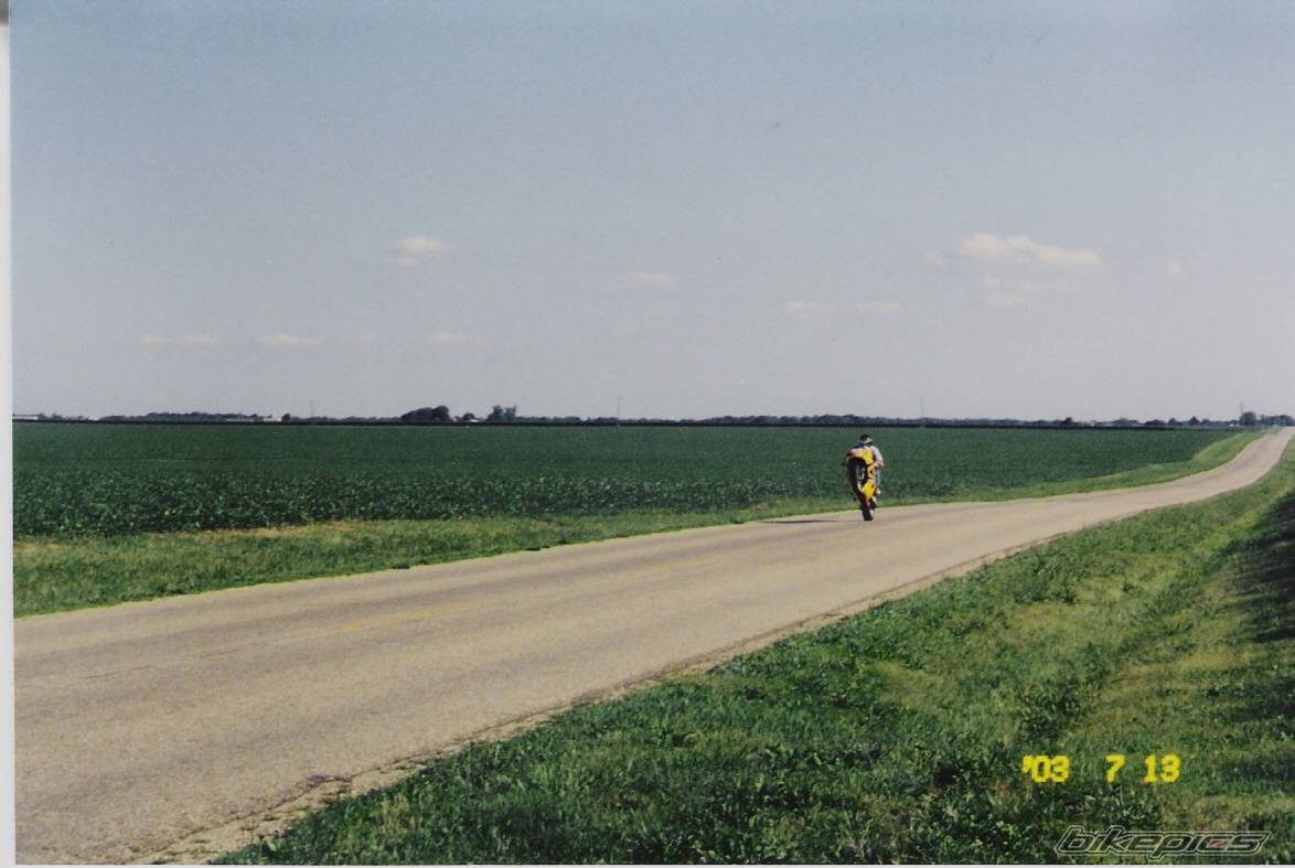 Photo 99941