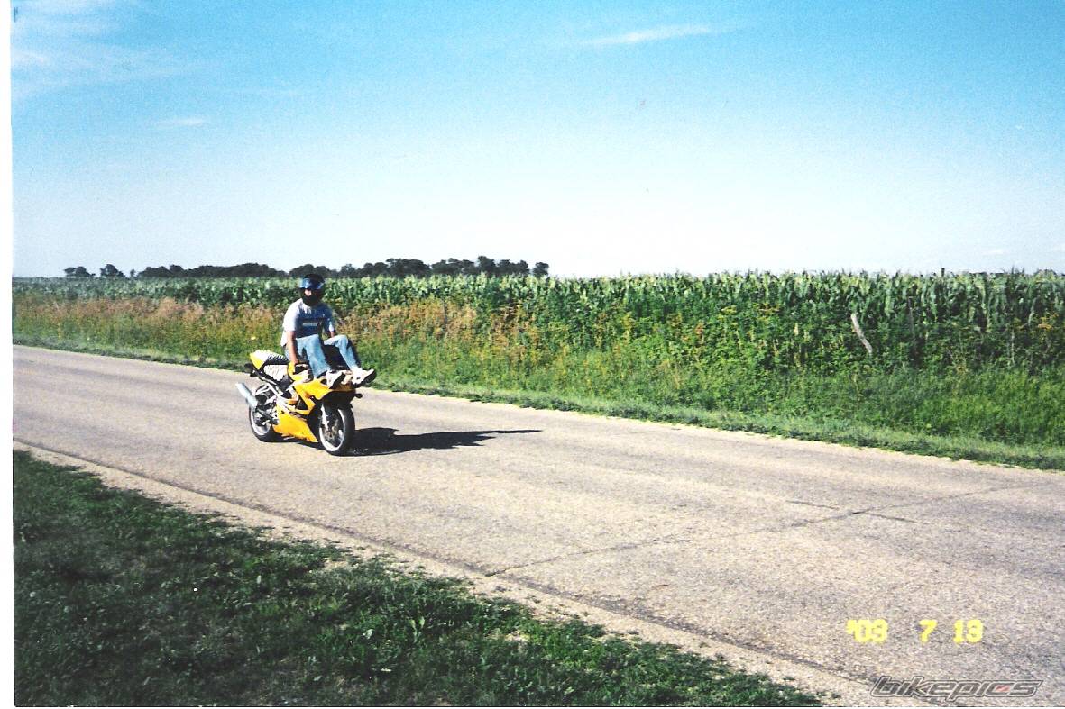 Photo 99942