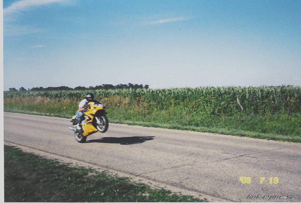 Photo 99943