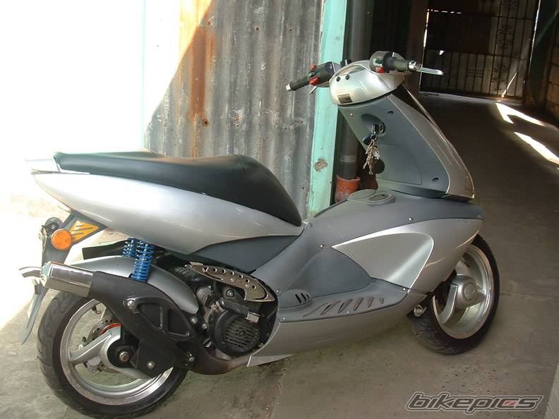 Photo 99954