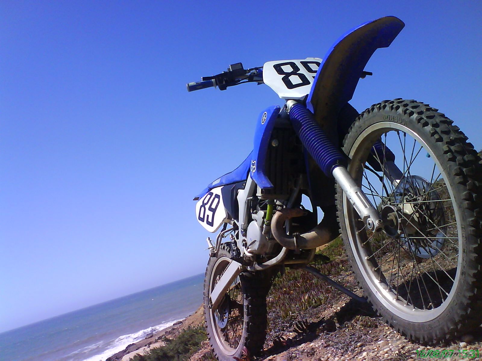 Photo 999626