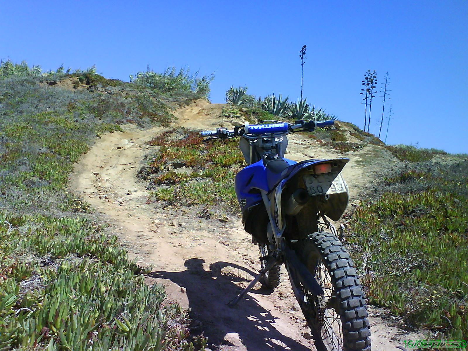 Photo 999636