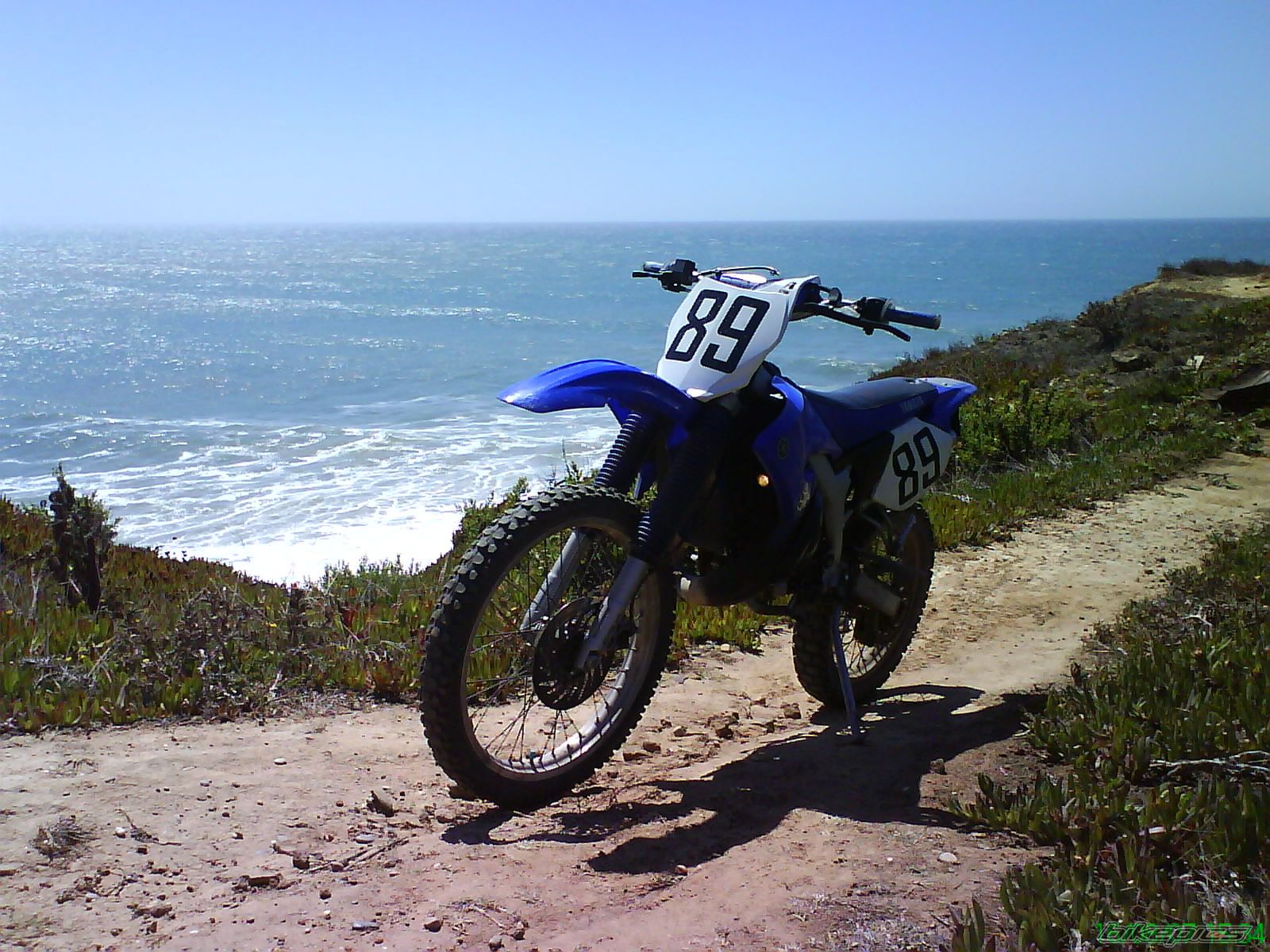 Photo 999640