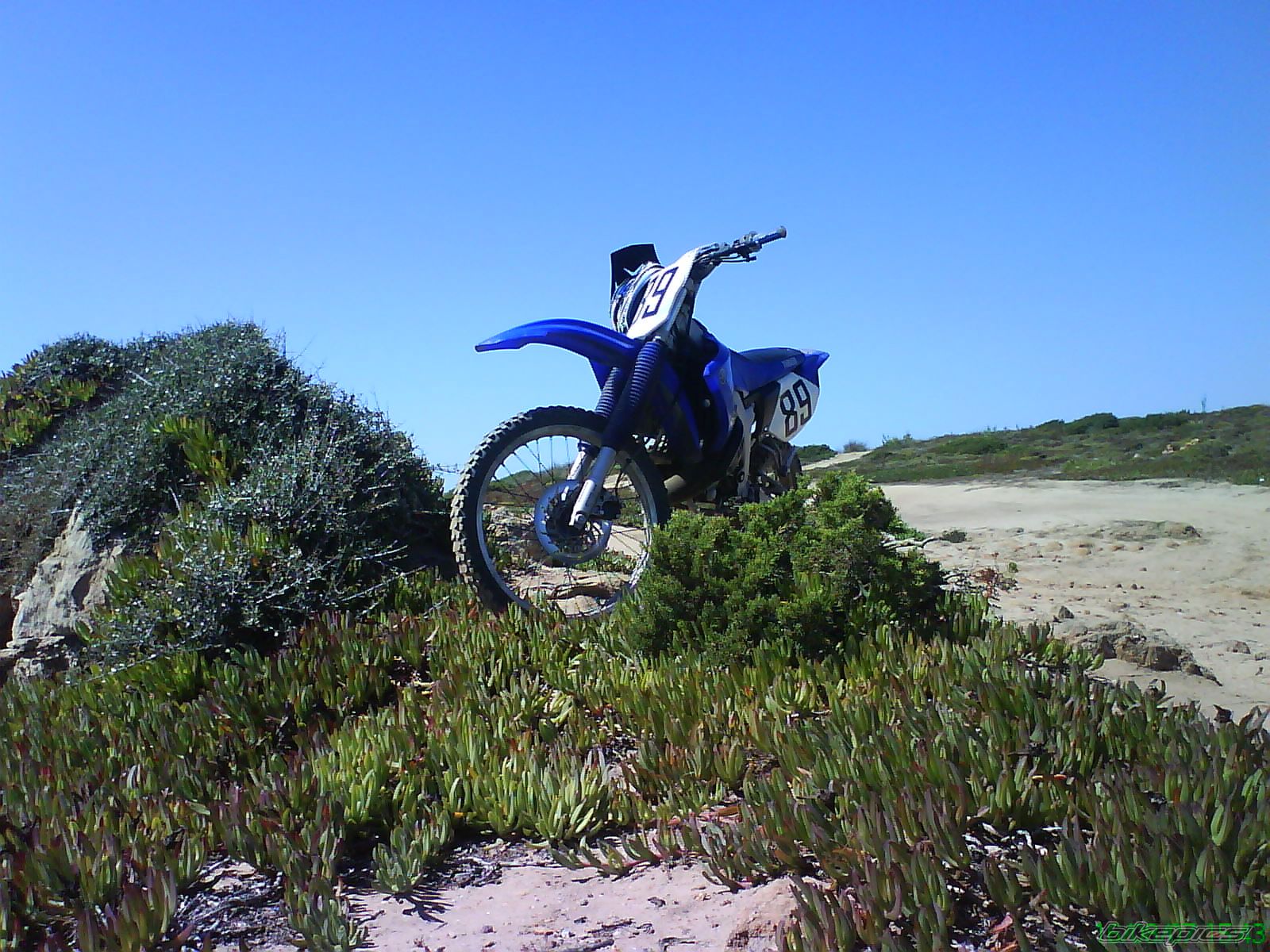 Photo 999641