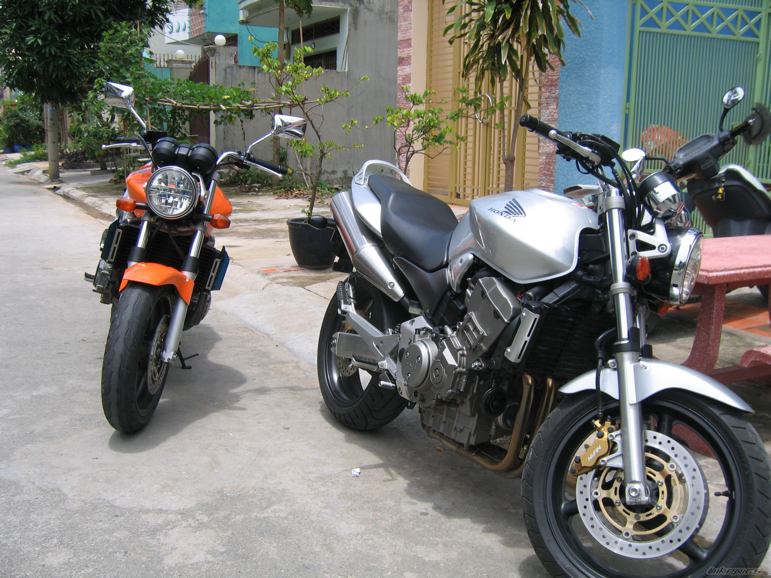 Photo 999666