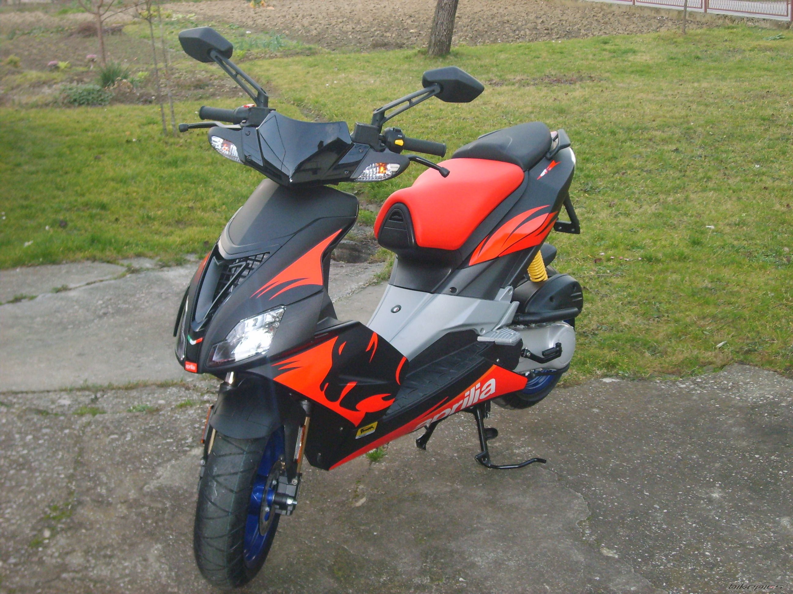Photo 999739