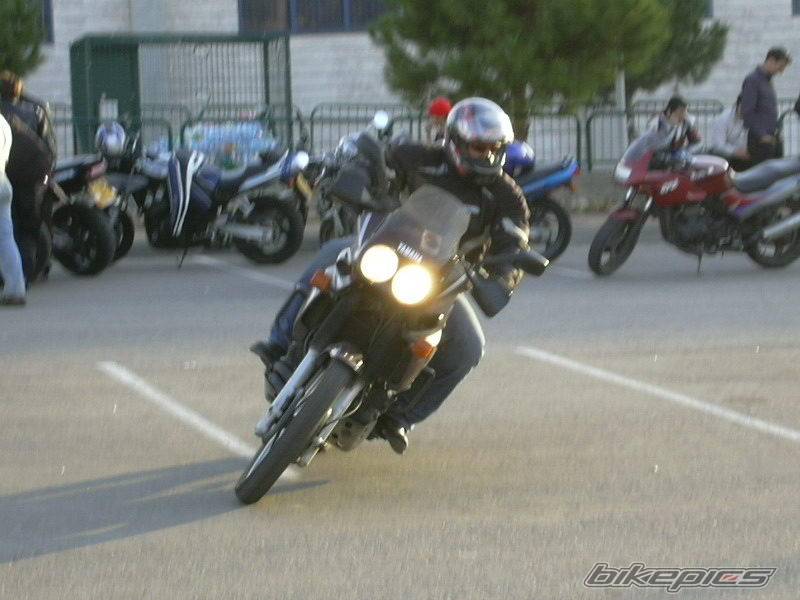 Photo 99976