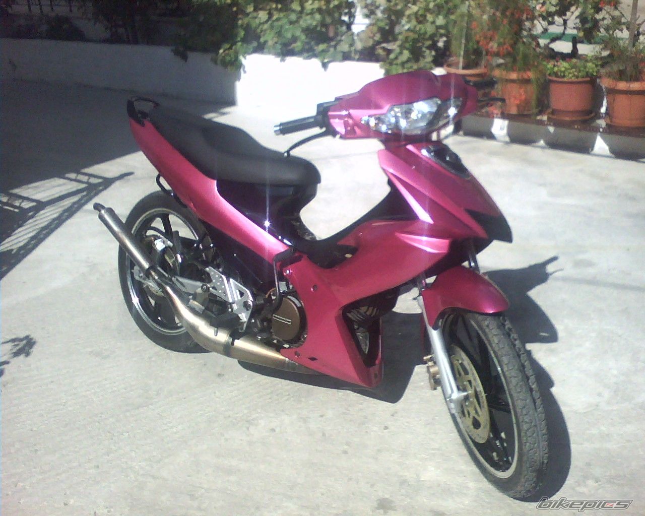 Photo 999779