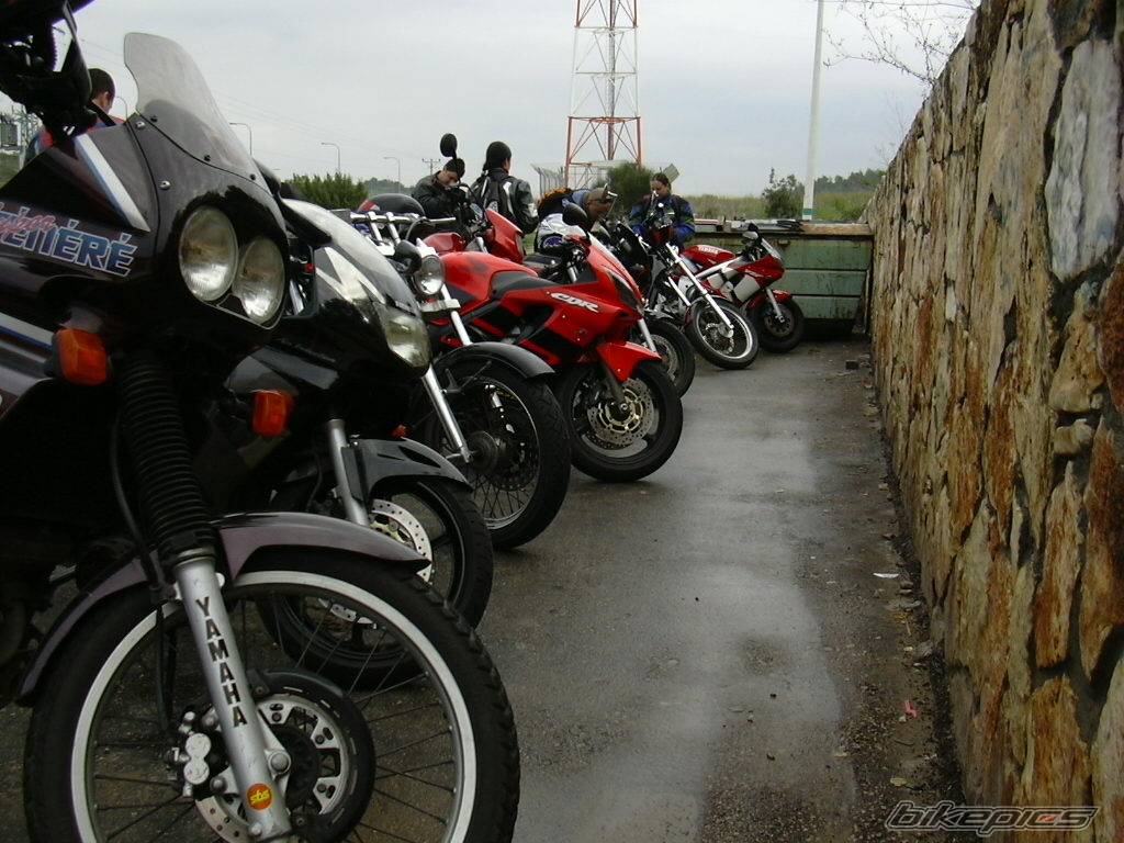 Photo 99979