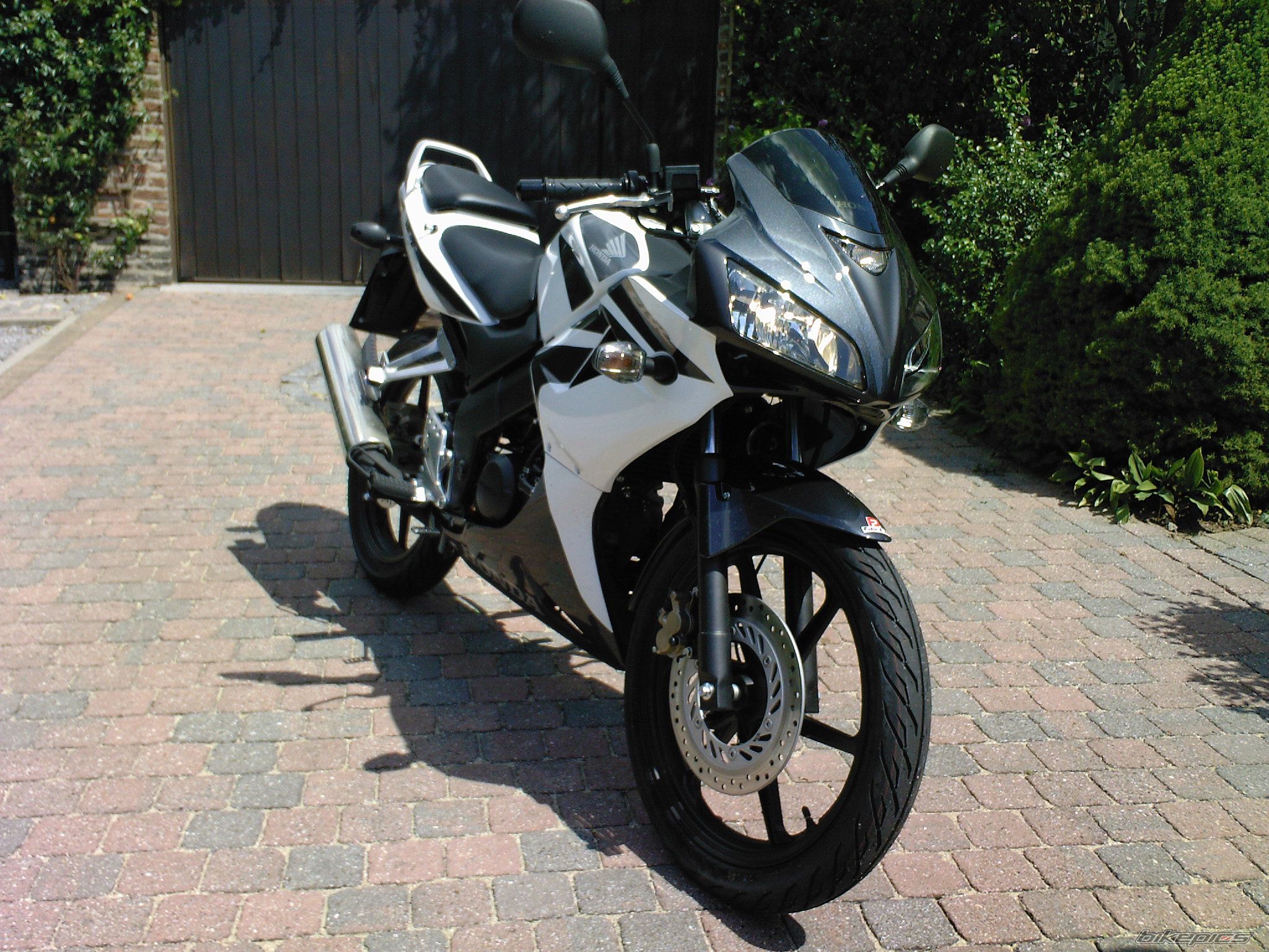 Photo 999801