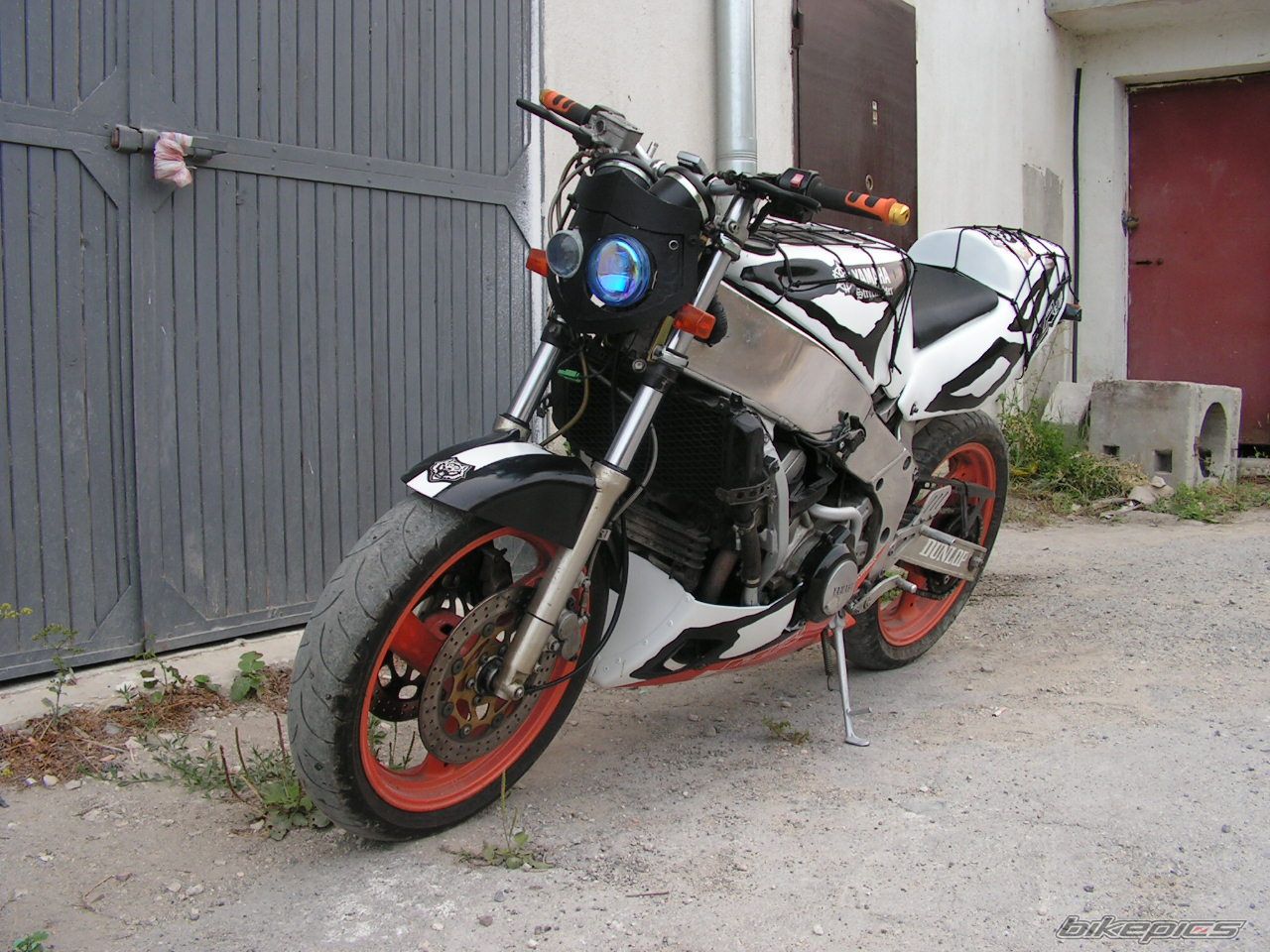 Photo 999838