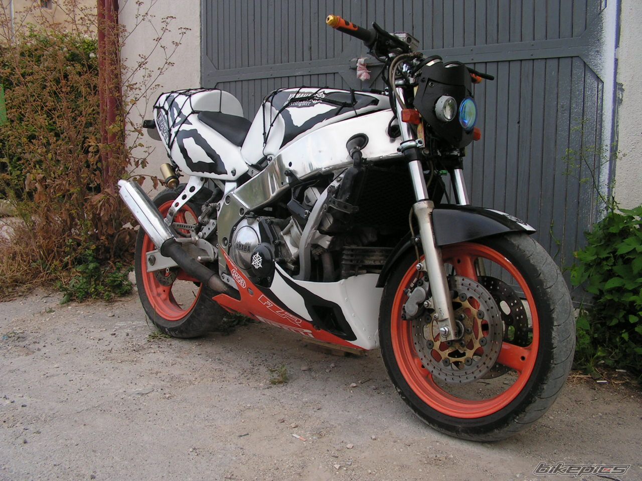 Photo 999841