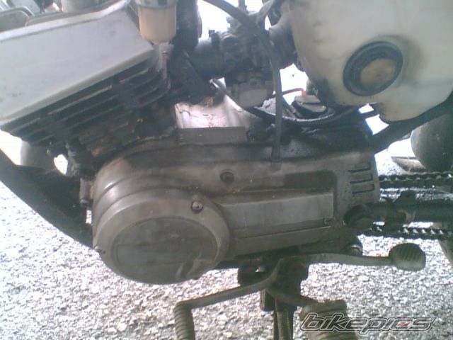 Photo 999893